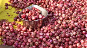 ৬ দেশে ৯৯ হাজার টন পেঁয়াজ রপ্তানি করবে ভারত বাংলাদেশসহ