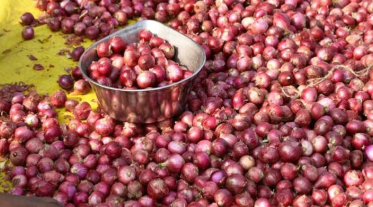 ৬ দেশে ৯৯ হাজার টন পেঁয়াজ রপ্তানি করবে ভারত বাংলাদেশসহ