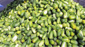 ২ লাখ টাকা বিক্রি ৭ হাজার টাকা পুঁজিতে ২ লাখ টাকা বিক্রি