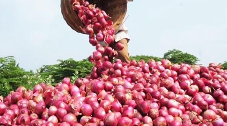 হিলি স্থলবন্দর দিয়ে ১০ হাজার টন পেঁয়াজ আমদানির অনুমতি